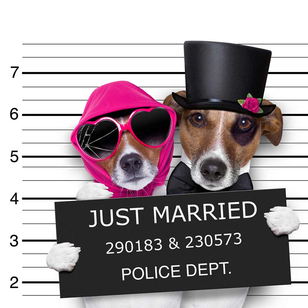 just married2